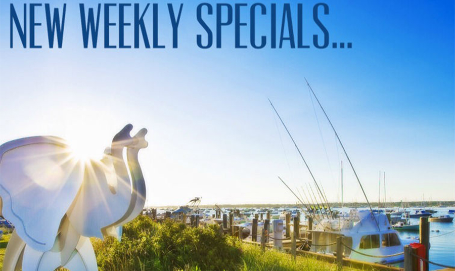 Deal Alert: Weekly Specials!