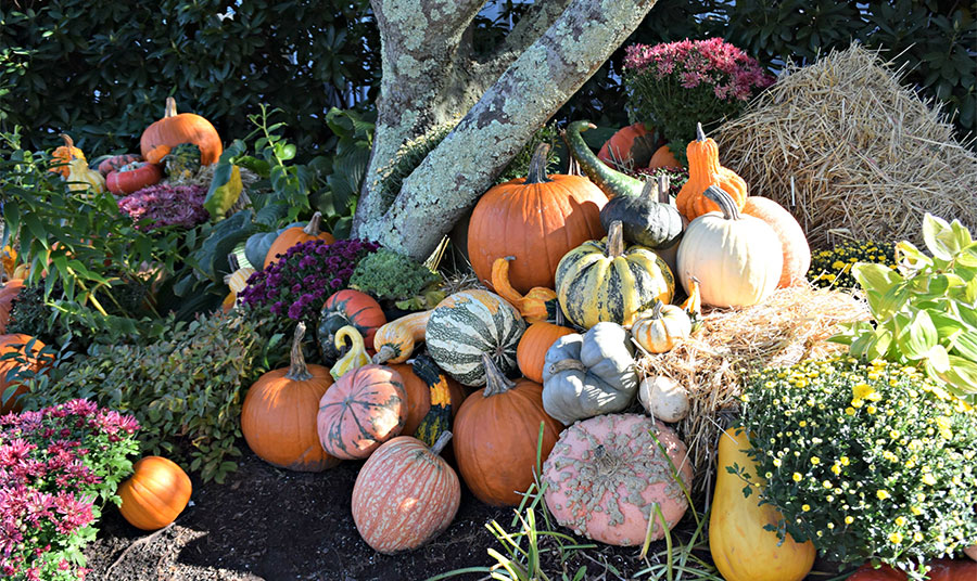 Fall Back in Time on Nantucket