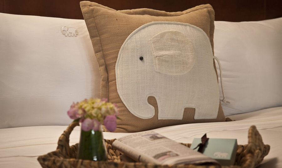Unforgettable Bedding